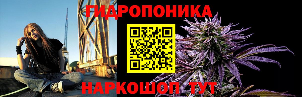 Шишки марихуана THC 21%  Вход с VPN  МАРИХУАНА OG Kush  Когалым 